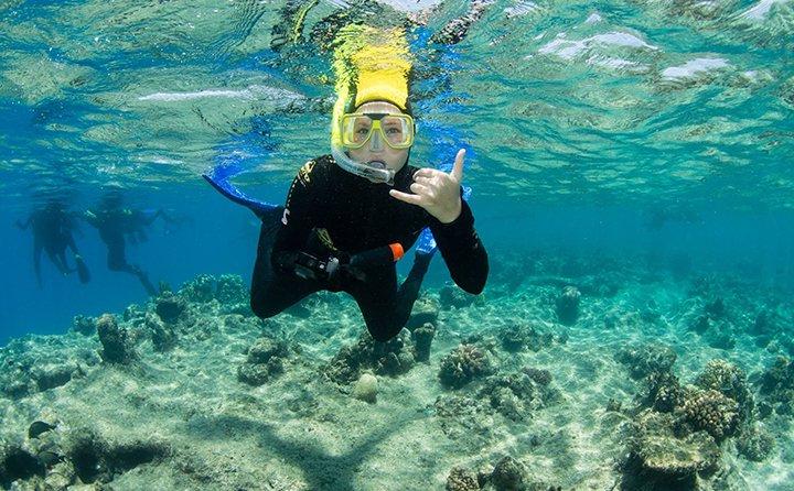 刑事司法和政治学专业的艾米·格斯滕在澳大利亚大堡礁浮潜.